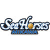 SeaHorses Mikawa